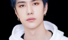 王一博视频,动感舞者，魅力四射的青春风采