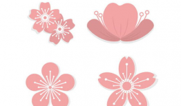 花瓣动漫,描绘青春梦想的奇幻画卷